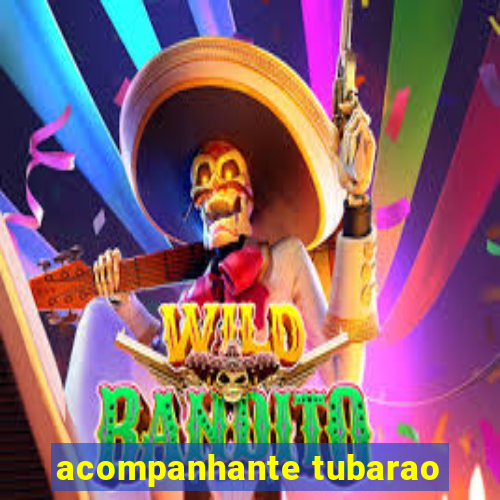 acompanhante tubarao